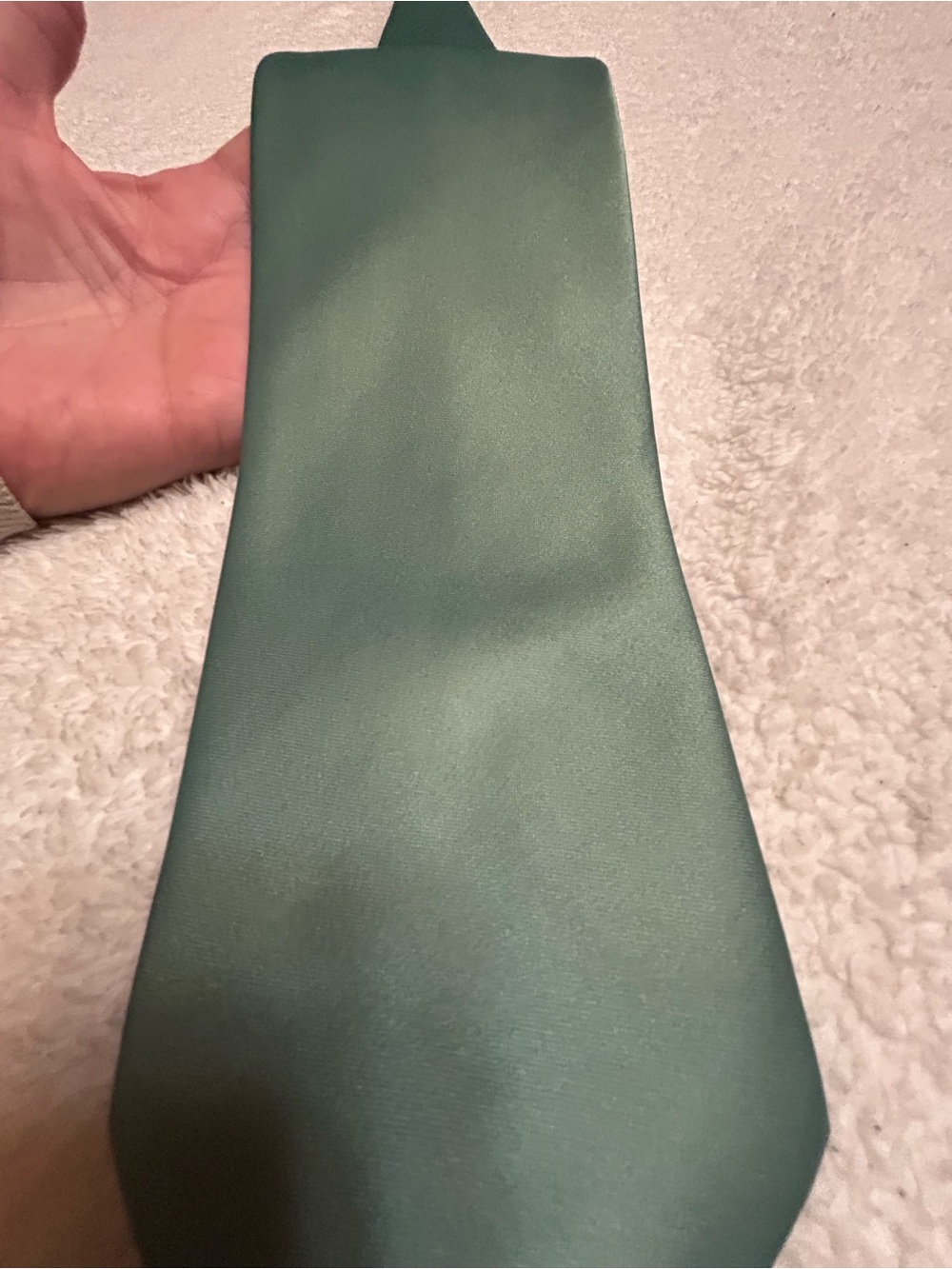 🎁3 for $30 - Green Necktie